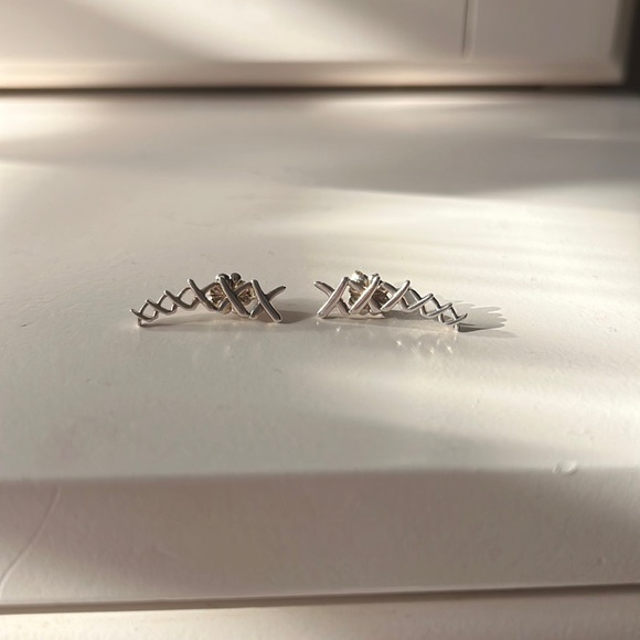 Silver tiffany & co earrings. Not sure the exact name of them, it was a gift. - Picture 1 of 3